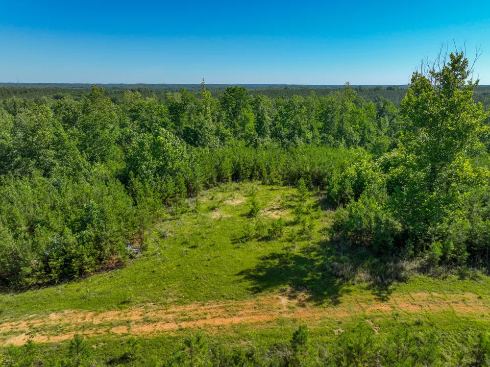 0 White Oak Rd Stewart, TN 37175