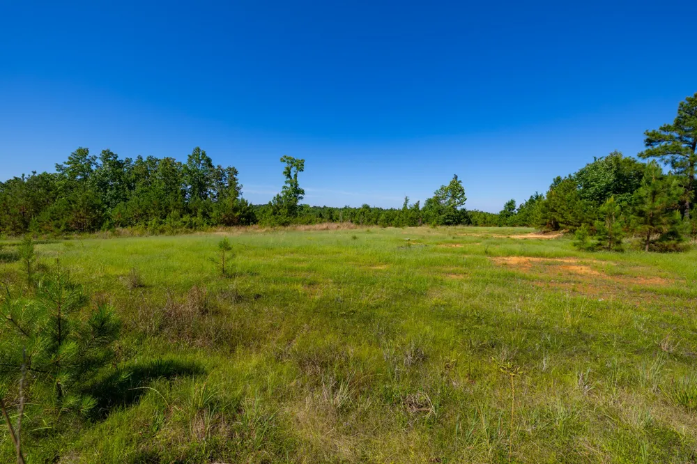 0 White Oak Rd Stewart, TN 37175