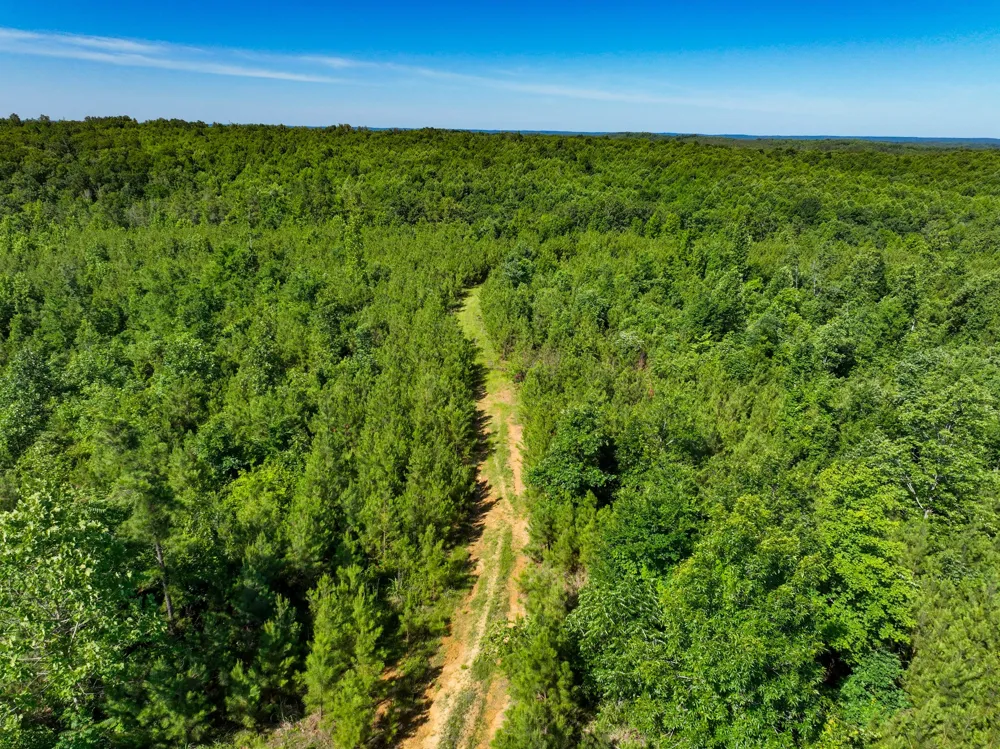 0 White Oak Rd Stewart, TN 37175