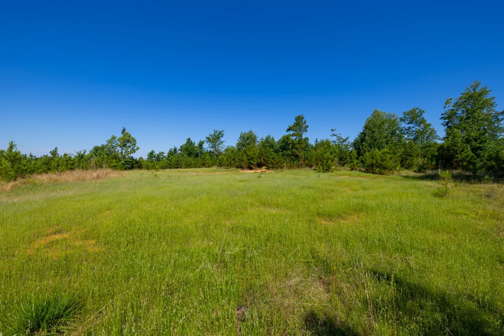 0 White Oak Rd Stewart, TN 37175