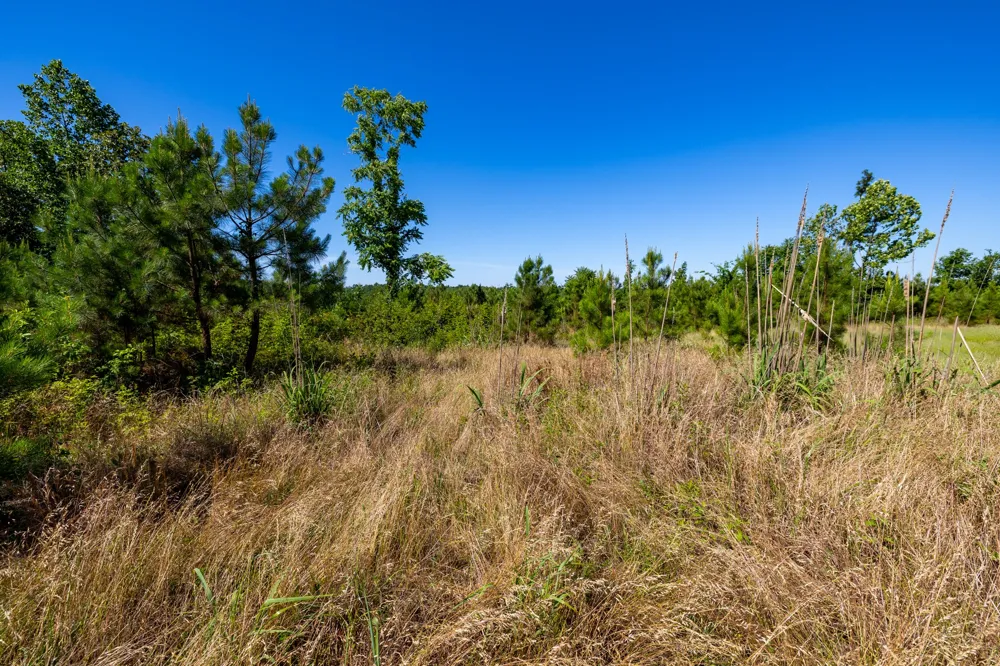 0 White Oak Rd Stewart, TN 37175