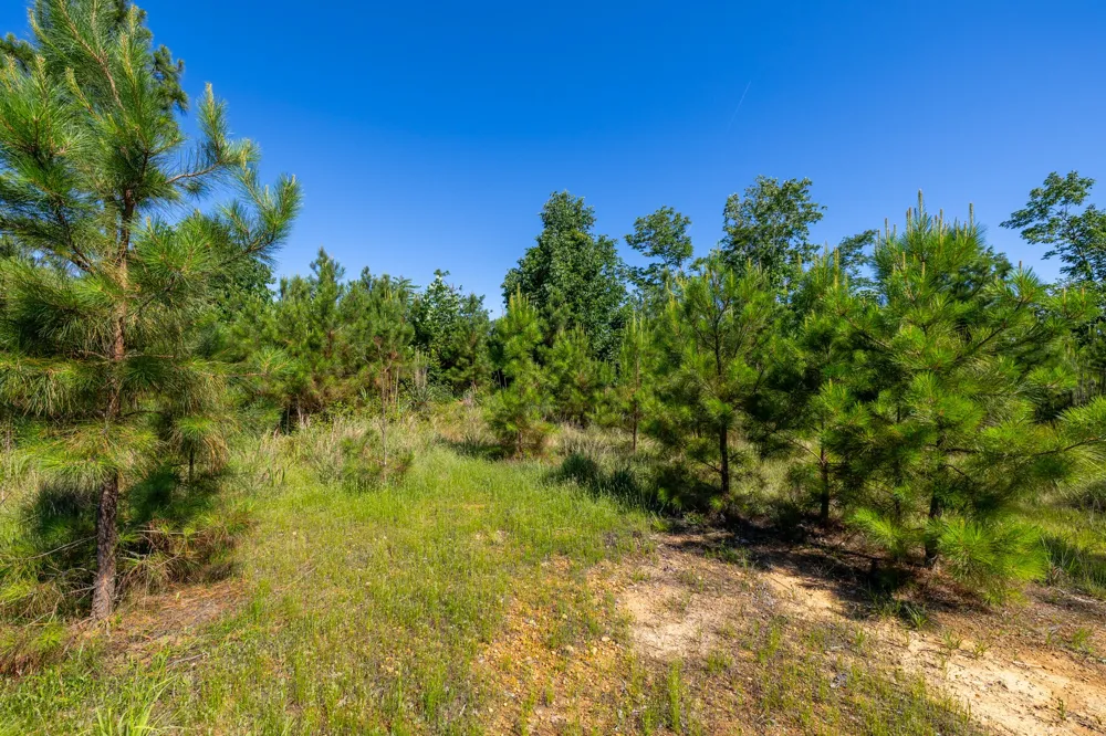 0 White Oak Rd Stewart, TN 37175