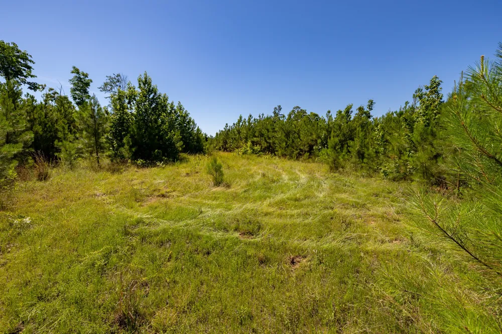 0 White Oak Rd Stewart, TN 37175