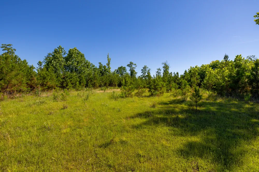 0 White Oak Rd Stewart, TN 37175