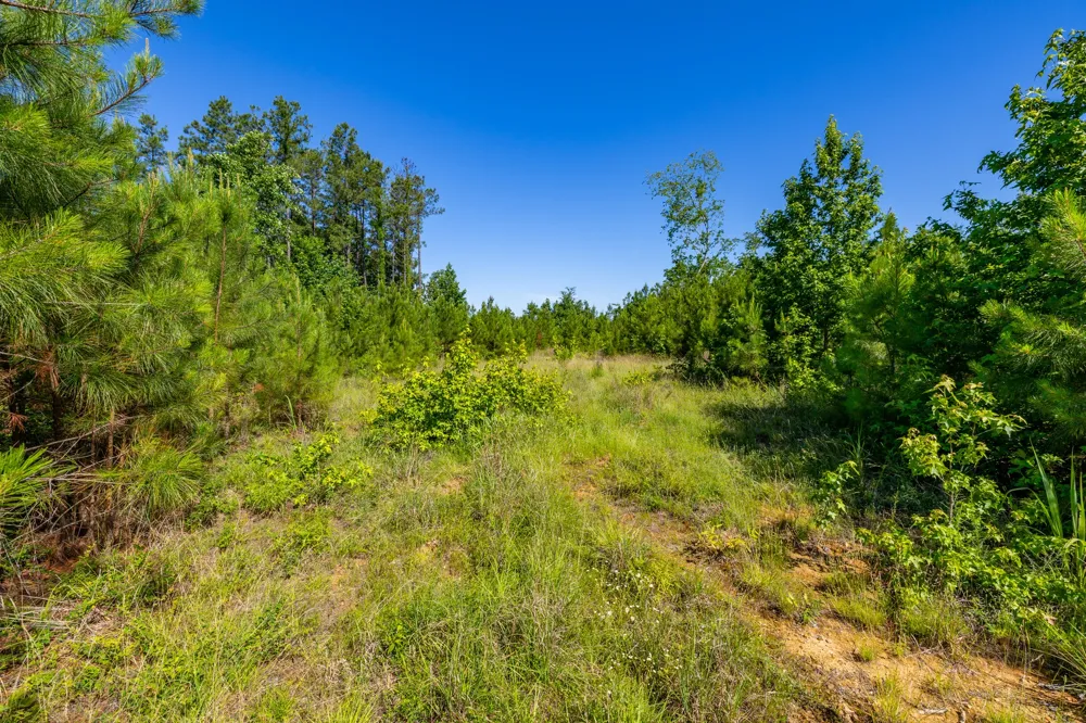 0 White Oak Rd Stewart, TN 37175