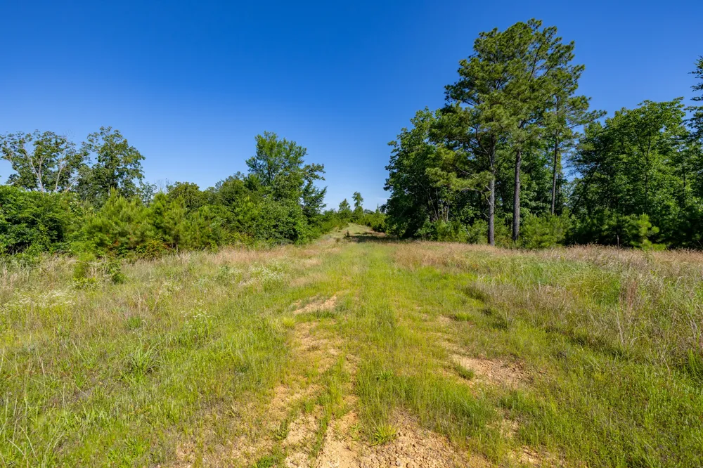 0 White Oak Rd Stewart, TN 37175