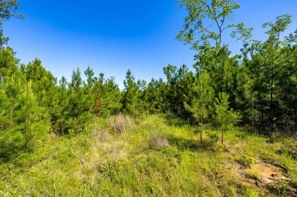0 White Oak Rd Stewart, TN 37175
