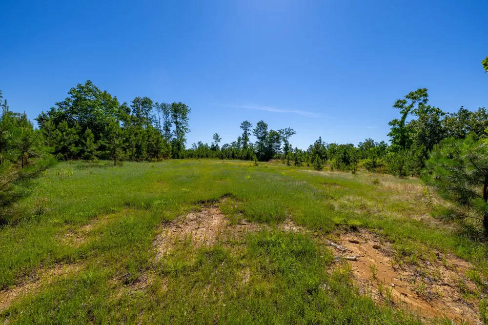 0 White Oak Rd Stewart, TN 37175
