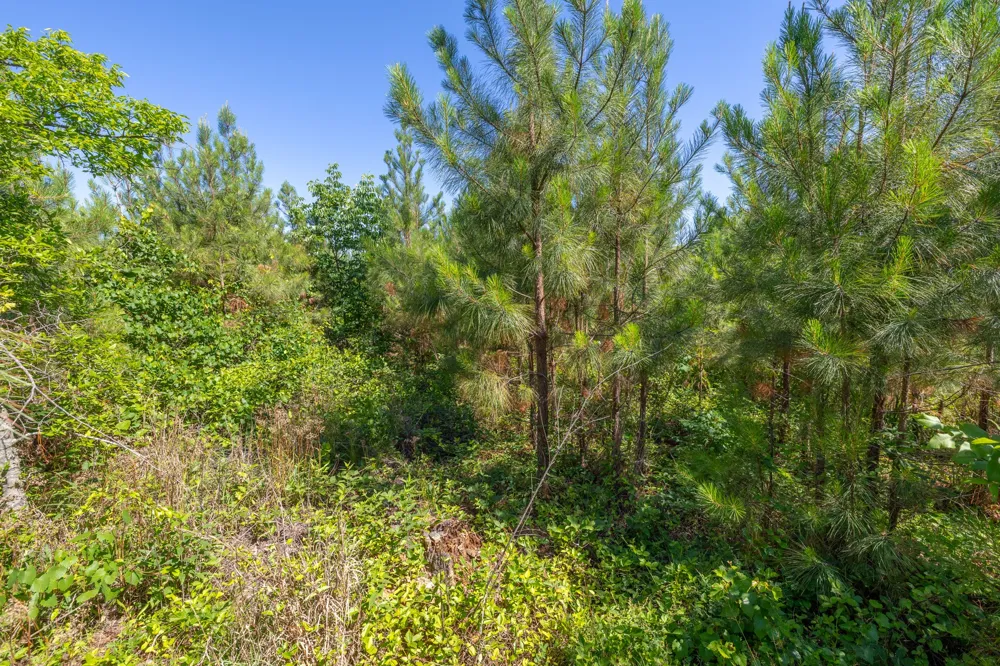 0 White Oak Rd Stewart, TN 37175