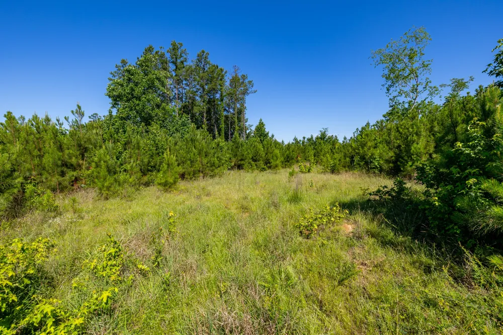 0 White Oak Rd Stewart, TN 37175