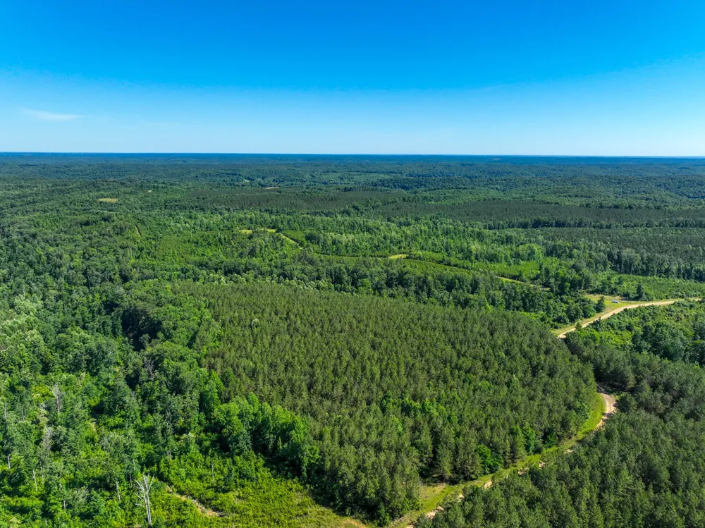 0 White Oak Rd Stewart, TN 37175