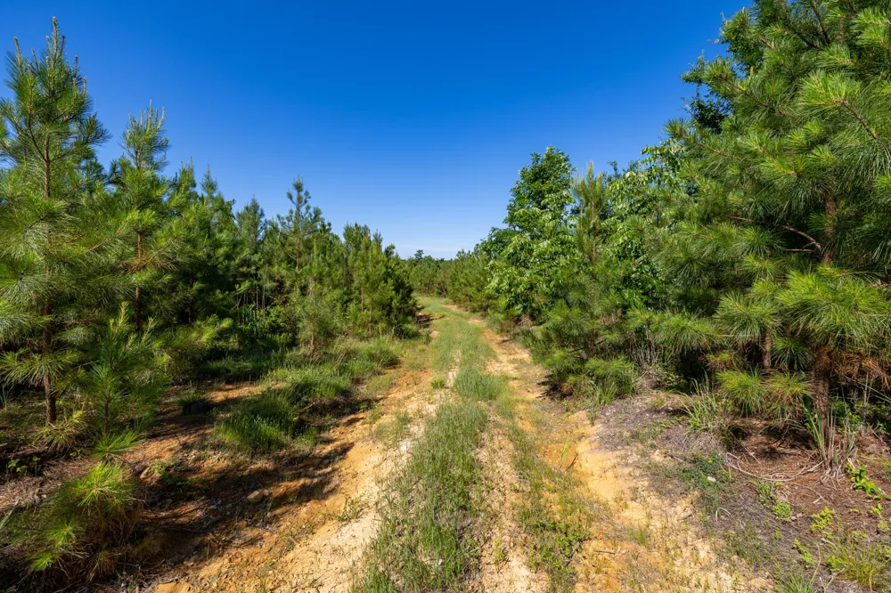 0 White Oak Rd Stewart, TN 37175