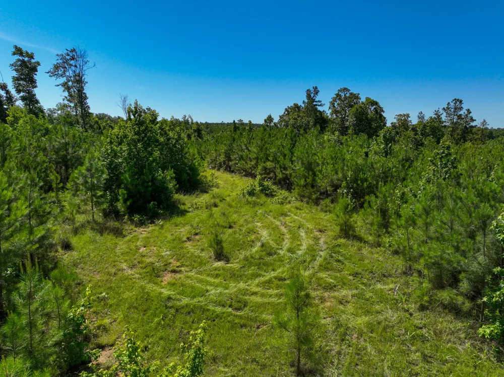 0 White Oak Rd Stewart, TN 37175