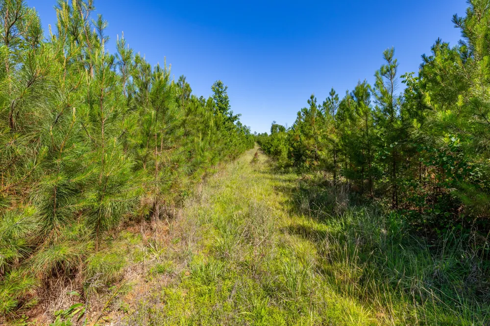 0 White Oak Rd Stewart, TN 37175