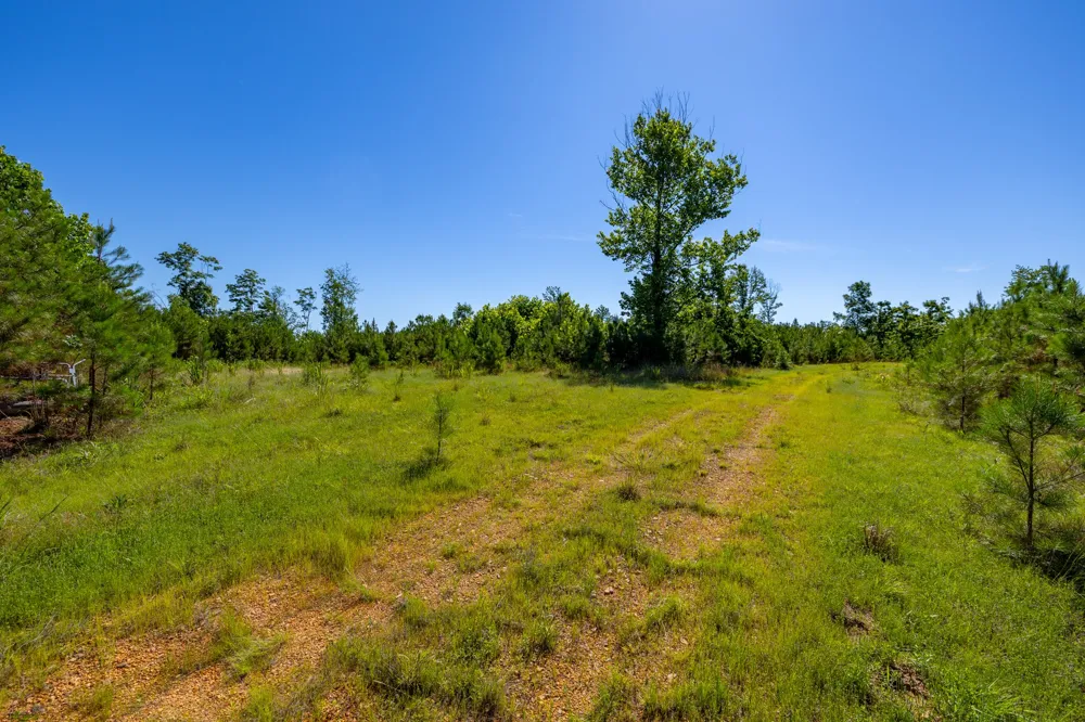 0 White Oak Rd Stewart, TN 37175