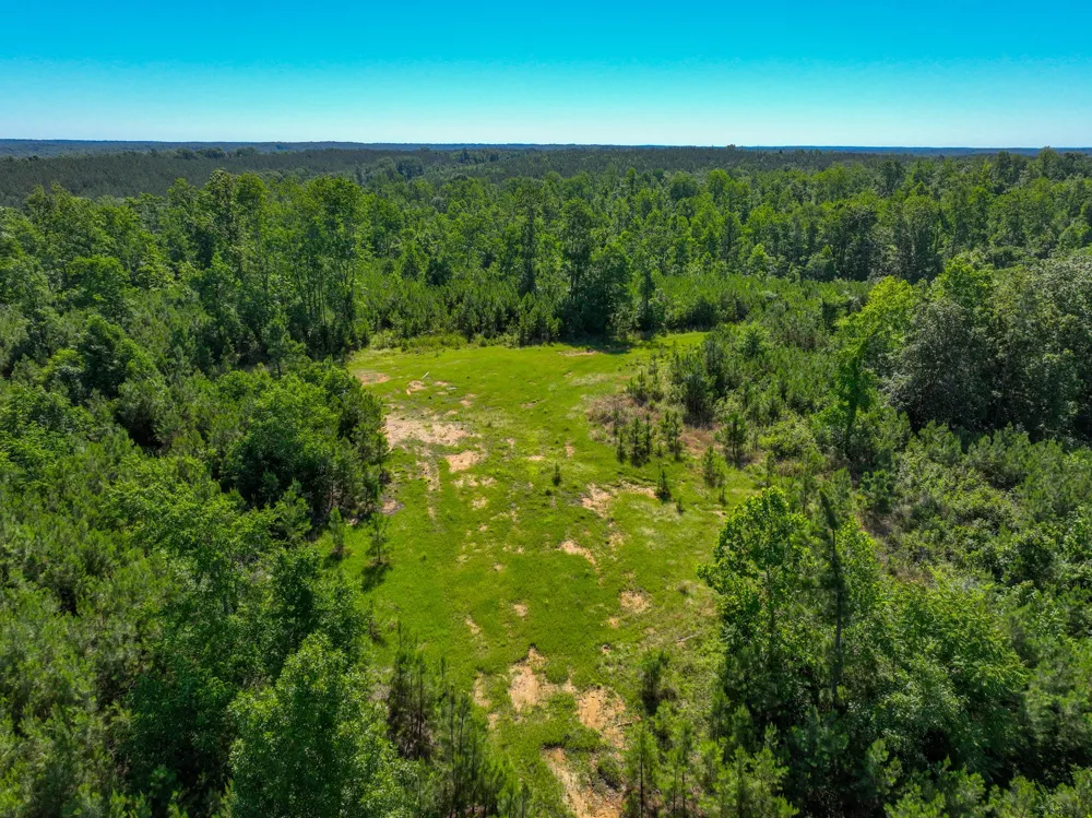 0 White Oak Rd Stewart, TN 37175