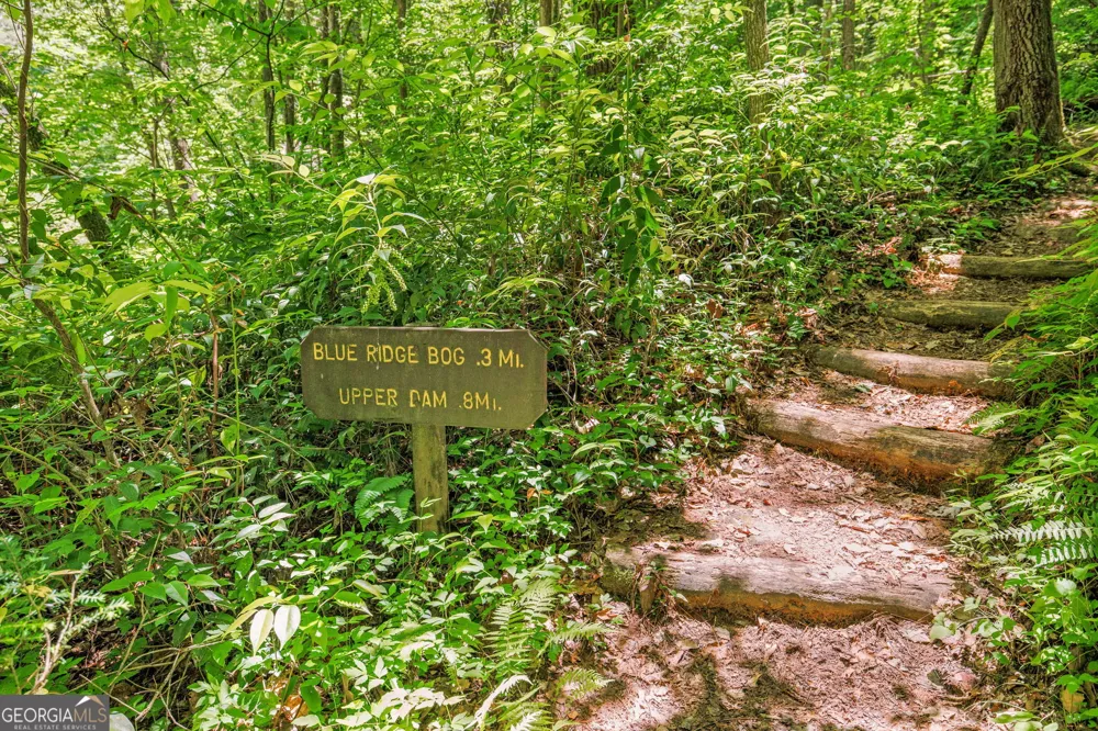 430 Grimes Nose Sautee Nacoochee, GA 30571