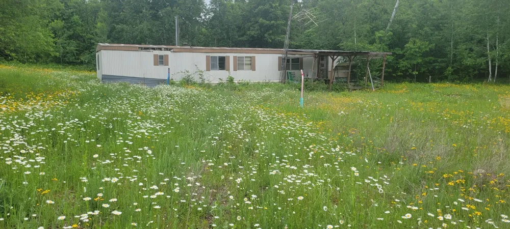 11116 Blackberry Road Trego, WI 54888