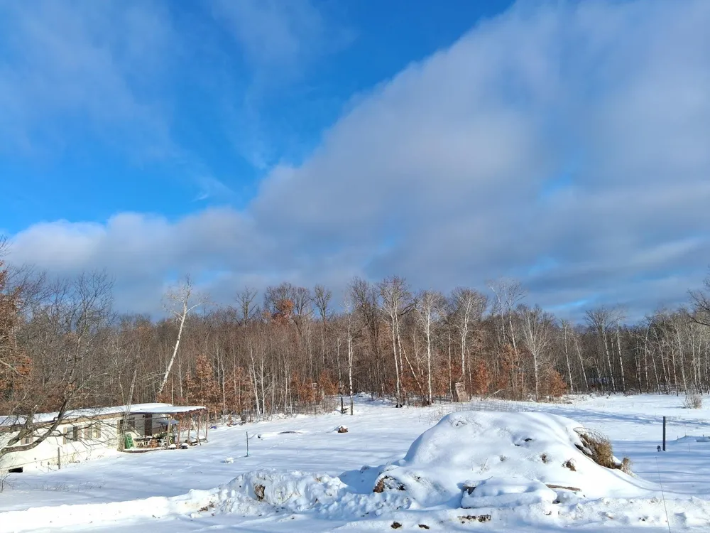 11116 Blackberry Road Trego, WI 54888