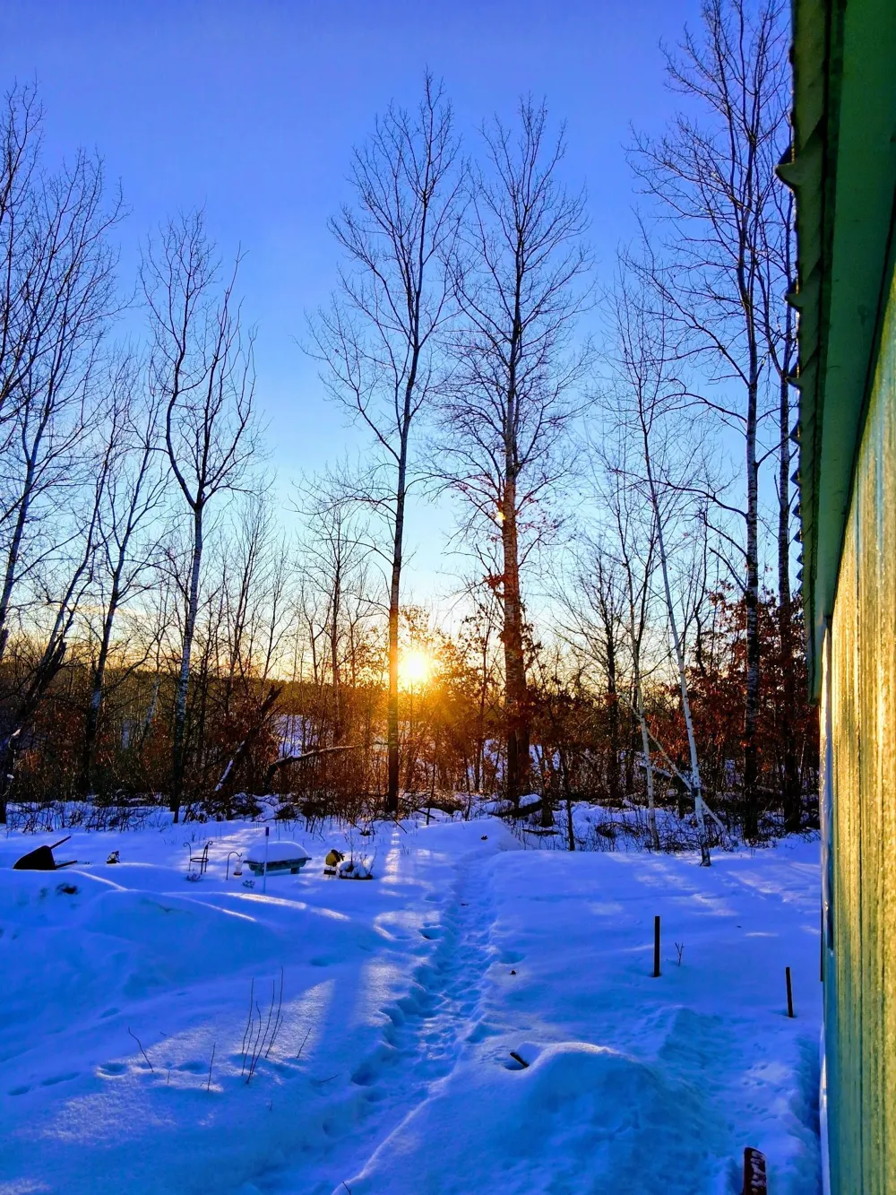 11116 Blackberry Road Trego, WI 54888