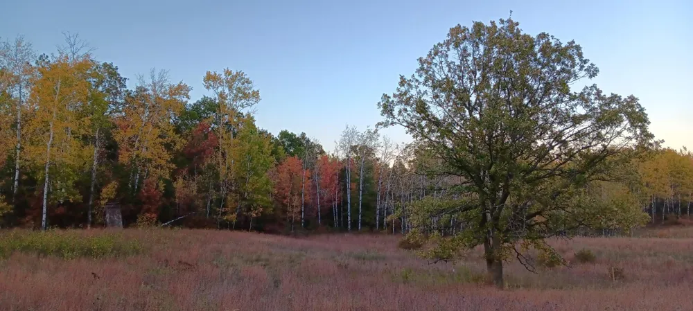 11116 Blackberry Road Trego, WI 54888