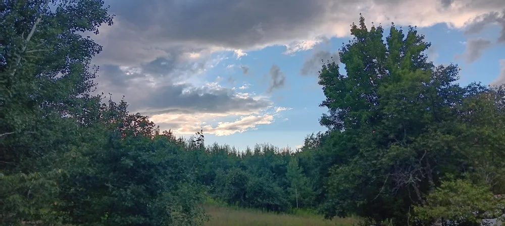 11116 Blackberry Road Trego, WI 54888