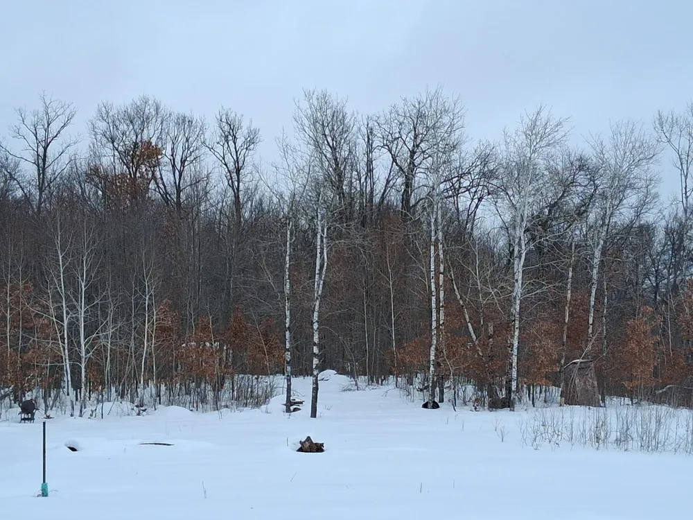 11116 Blackberry Road Trego, WI 54888