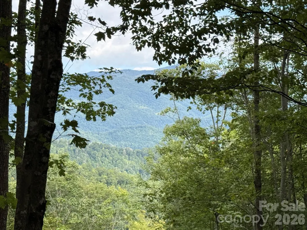LT 262 Tote Road #262 Sylva, NC 28779