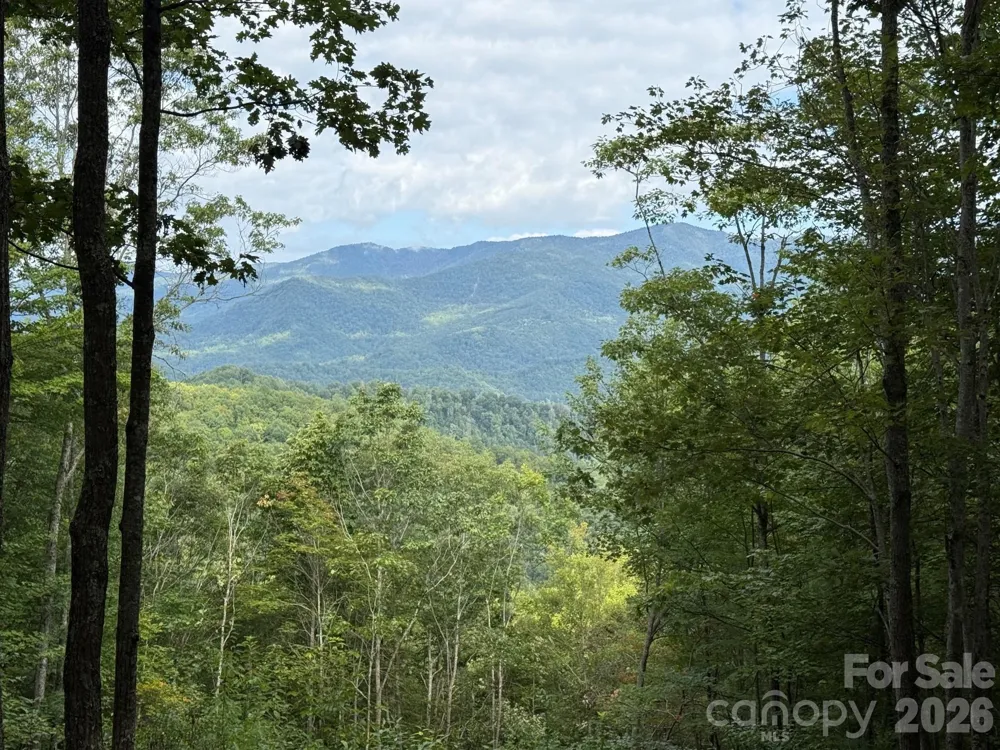 LT 262 Tote Road #262 Sylva, NC 28779