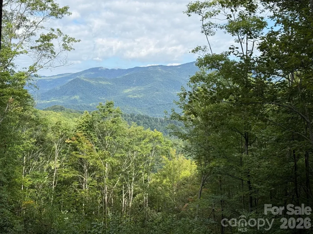 LT 262 Tote Road #262 Sylva, NC 28779