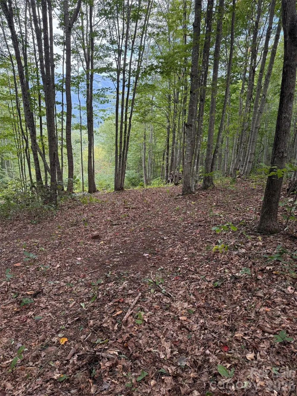LT 262 Tote Road #262 Sylva, NC 28779