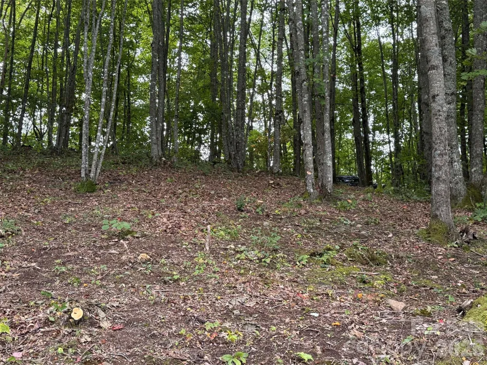 LT 262 Tote Road #262 Sylva, NC 28779