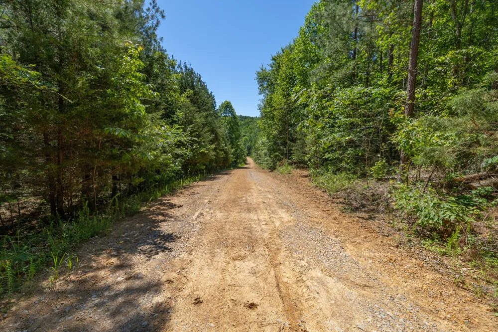0 White Oak Rd Stewart, TN 37175