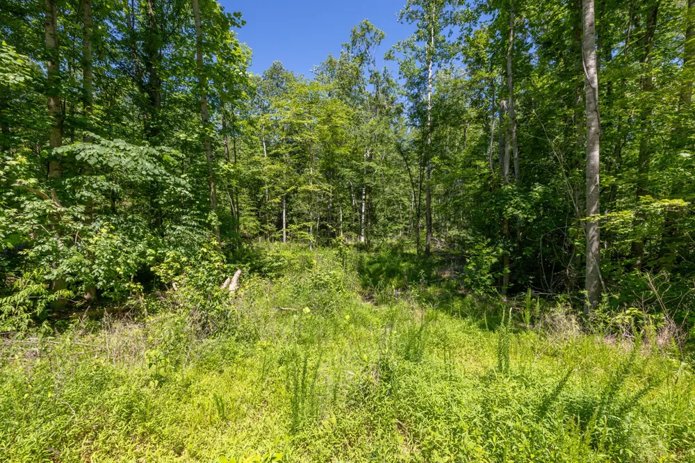 0 White Oak Rd Stewart, TN 37175