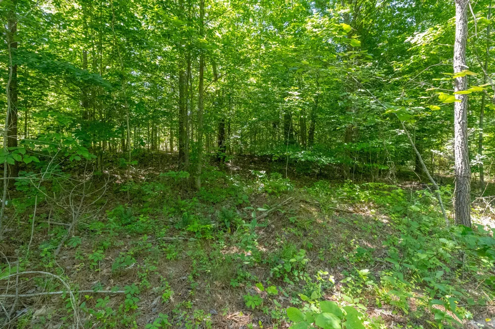 0 White Oak Rd Stewart, TN 37175