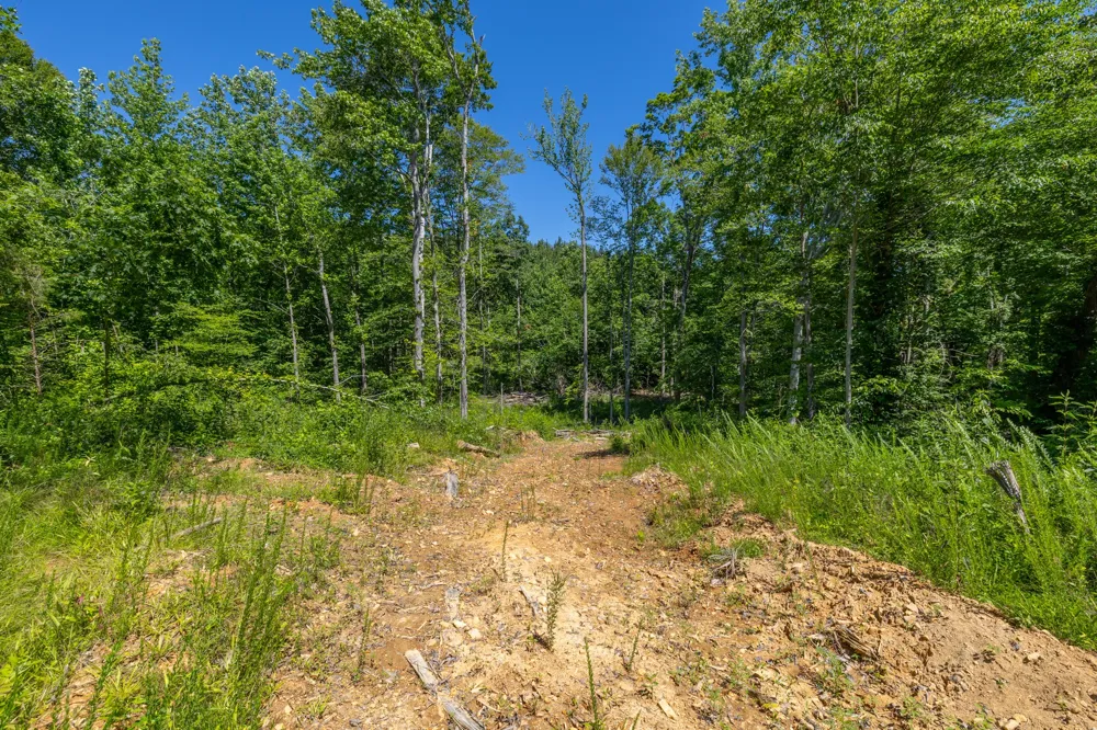 0 White Oak Rd Stewart, TN 37175