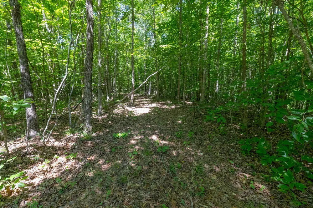 0 White Oak Rd Stewart, TN 37175