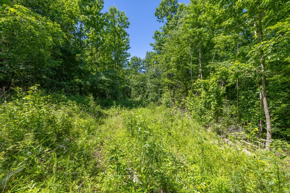 0 White Oak Rd Stewart, TN 37175