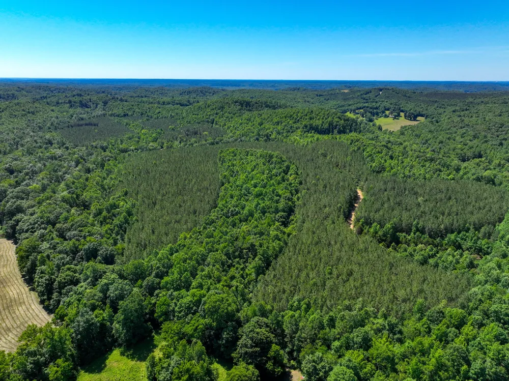 0 White Oak Rd Stewart, TN 37175