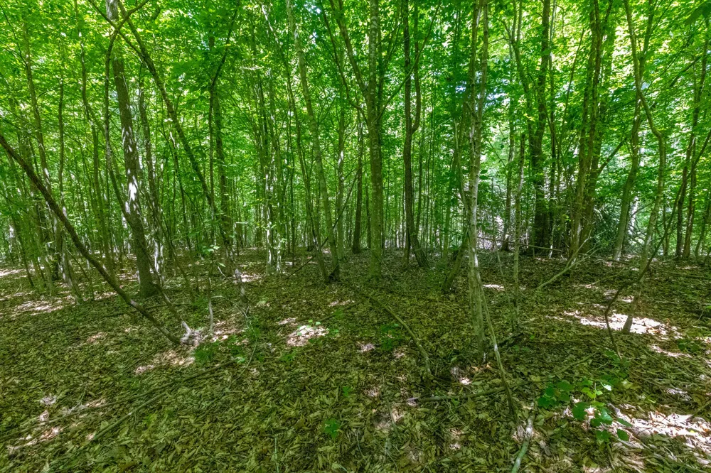 0 White Oak Rd Stewart, TN 37175