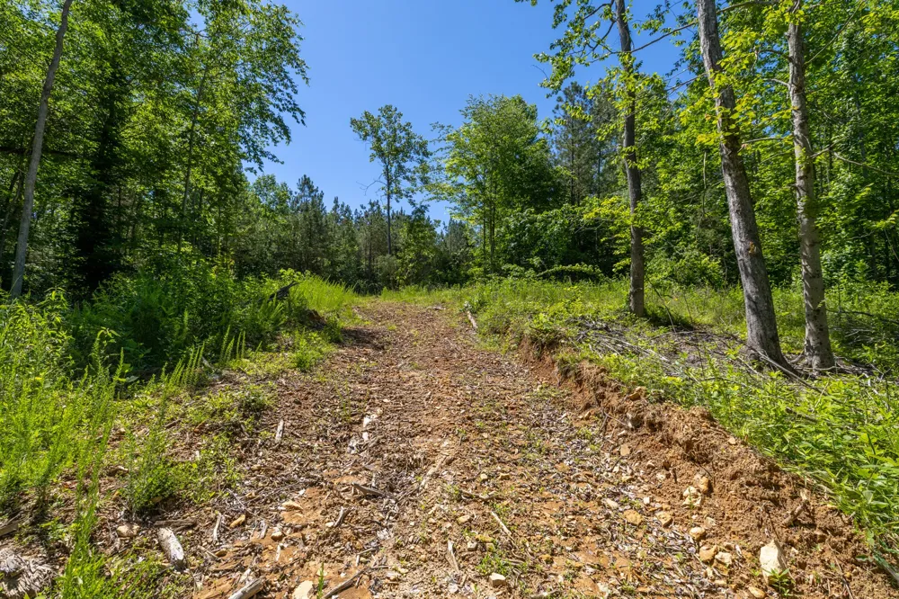 0 White Oak Rd Stewart, TN 37175