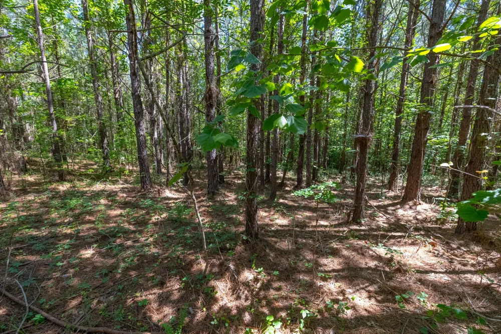 0 White Oak Rd Stewart, TN 37175