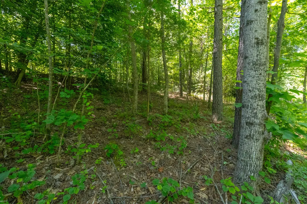 0 White Oak Rd Stewart, TN 37175