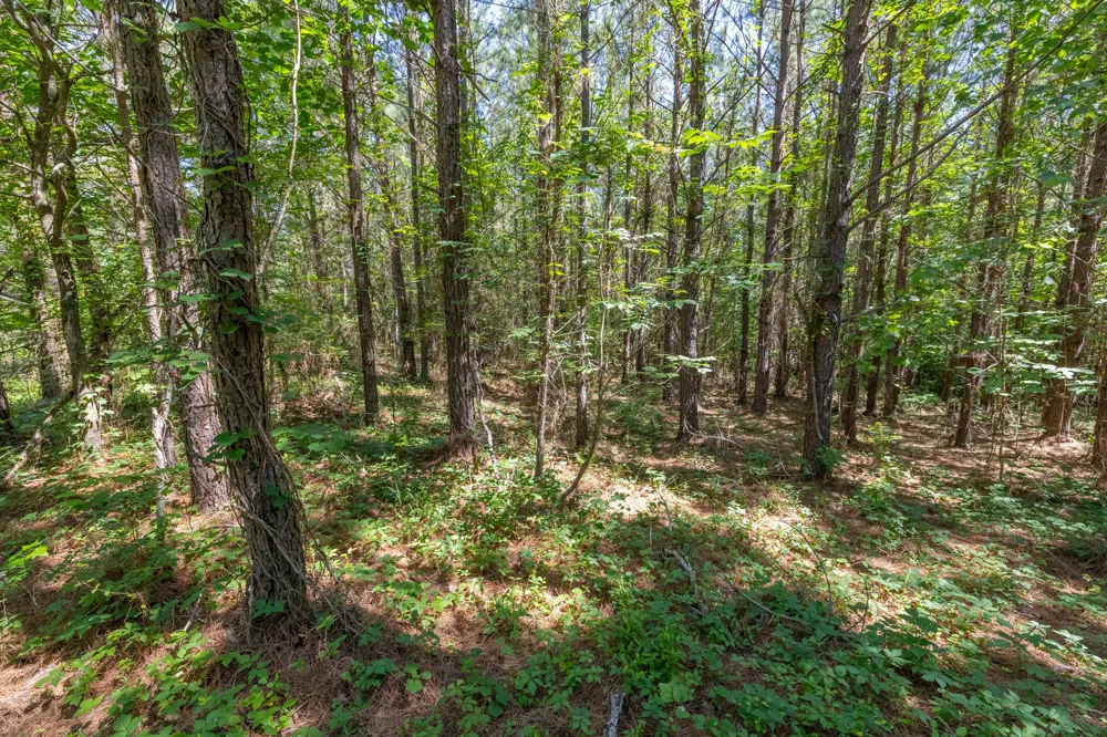 0 White Oak Rd Stewart, TN 37175