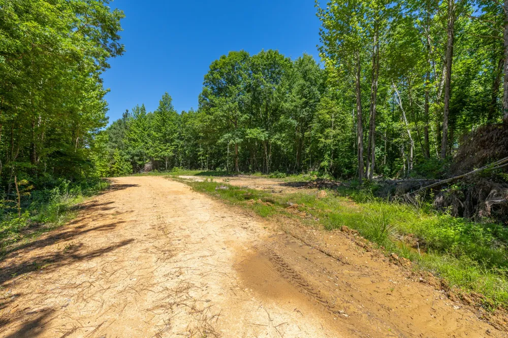 0 White Oak Rd Stewart, TN 37175