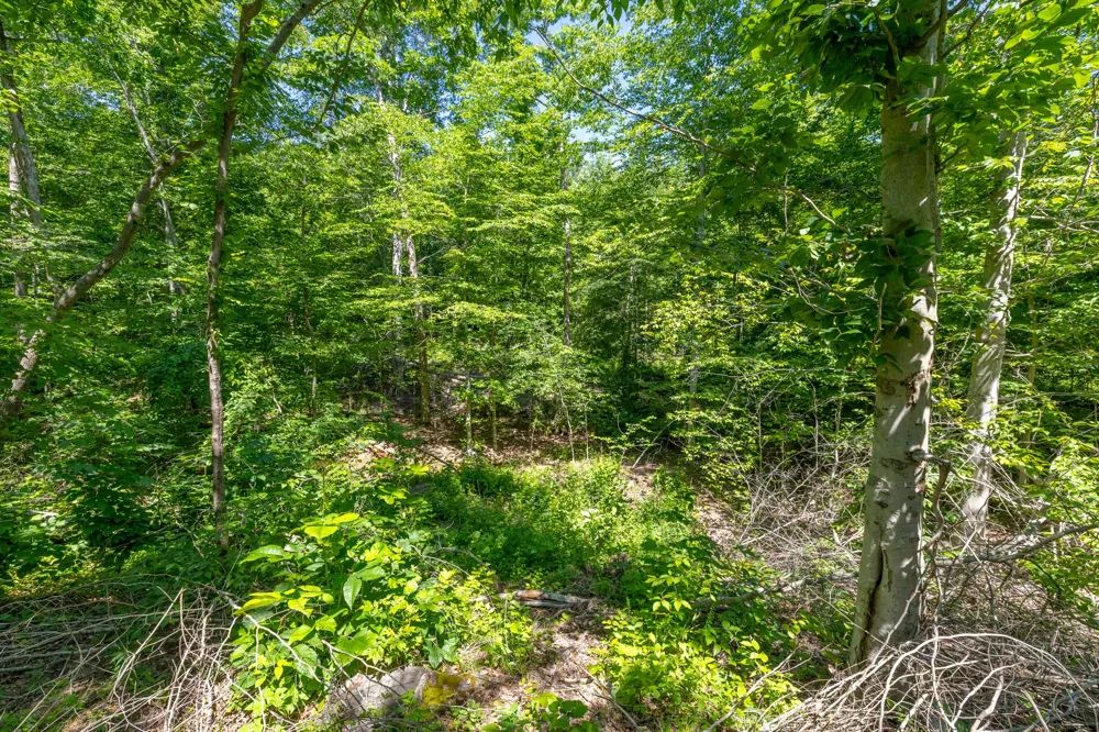 0 White Oak Rd Stewart, TN 37175