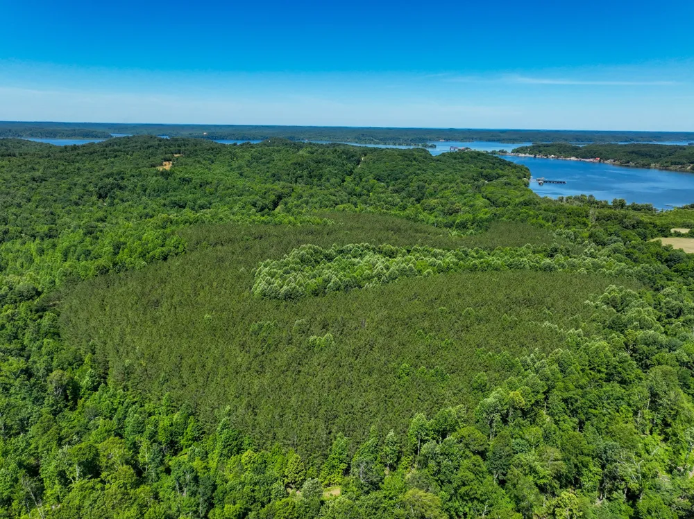 0 White Oak Rd Stewart, TN 37175