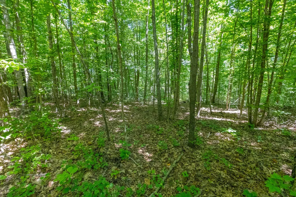 0 White Oak Rd Stewart, TN 37175