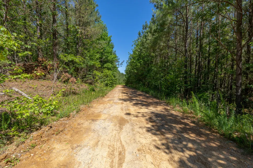 0 White Oak Rd Stewart, TN 37175