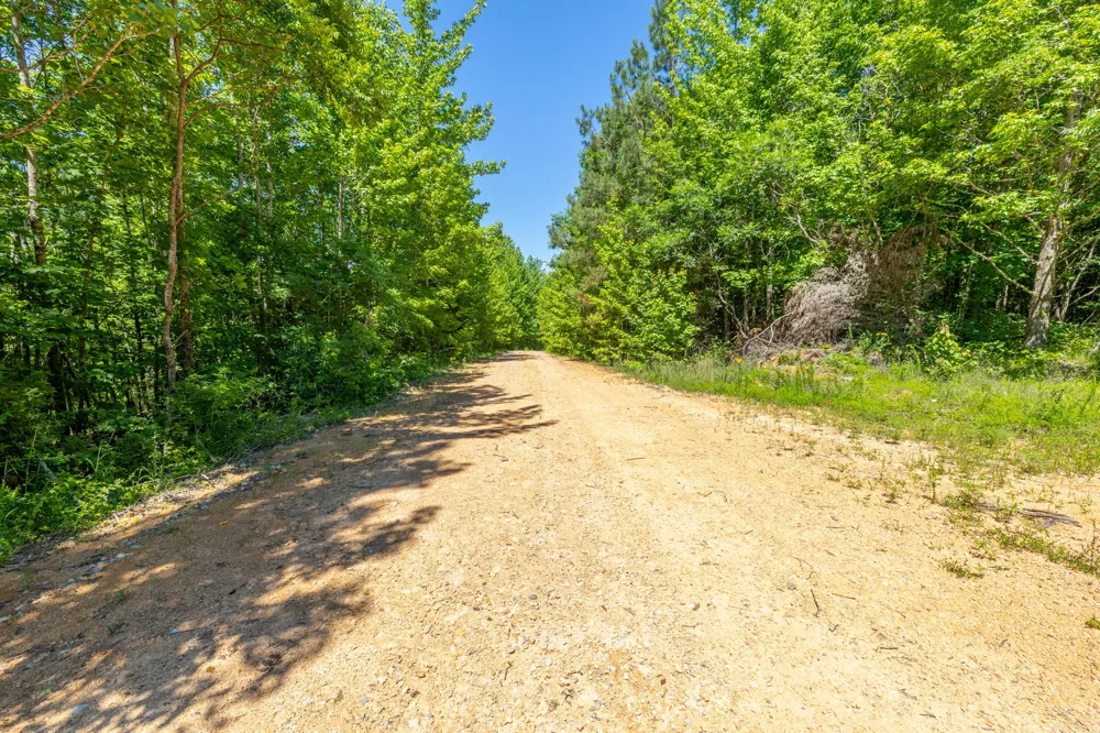 0 White Oak Rd Stewart, TN 37175